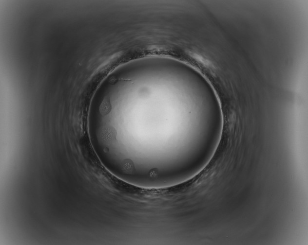 X0000086091205200703301143