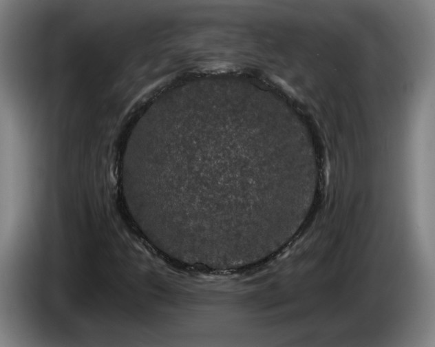 X0000086091206200703301143