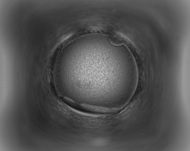 X0000086091207200703301143