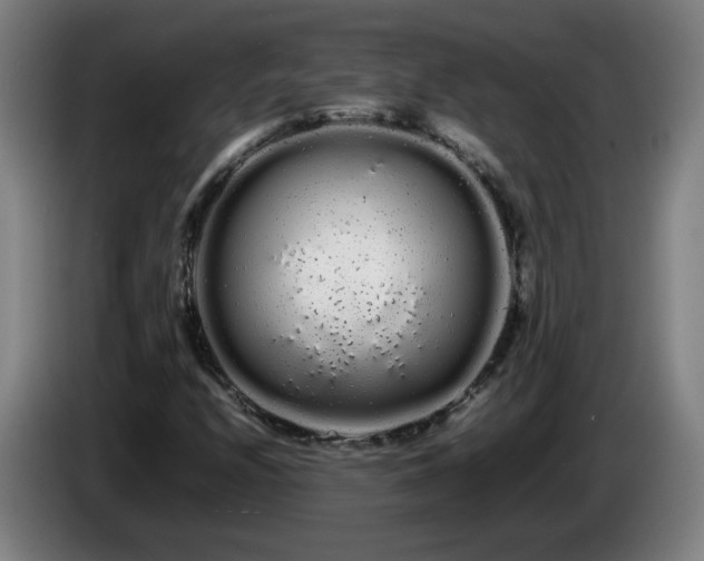 X0000086091208200703301143