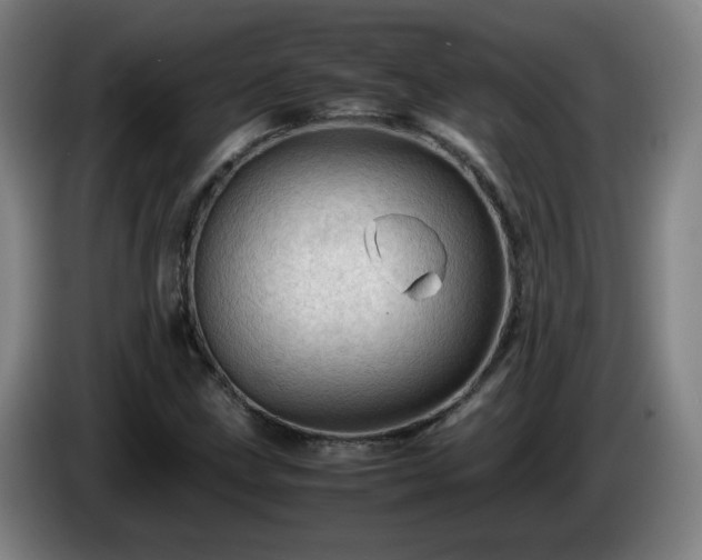 X0000086091211200703301143