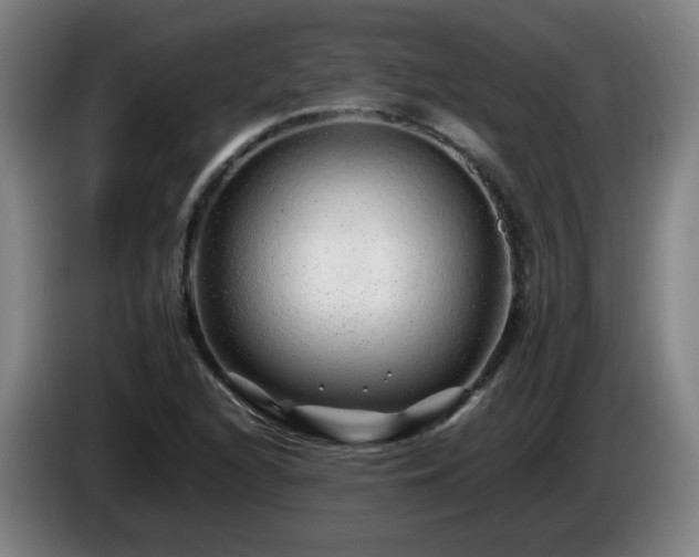 X0000086091216200703301143