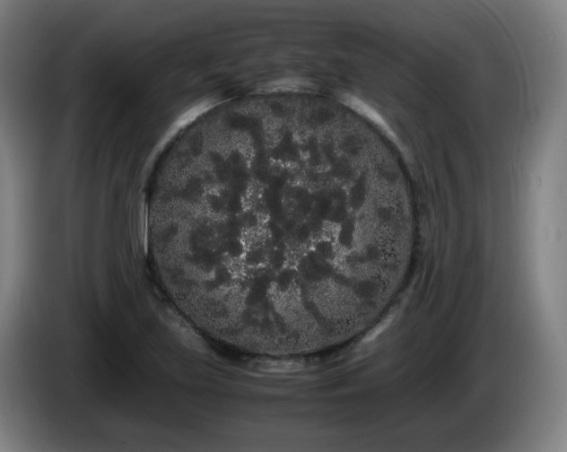 X0000086091219200703301144