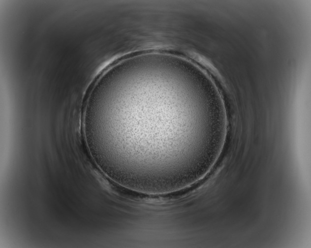 X0000086091220200703301144