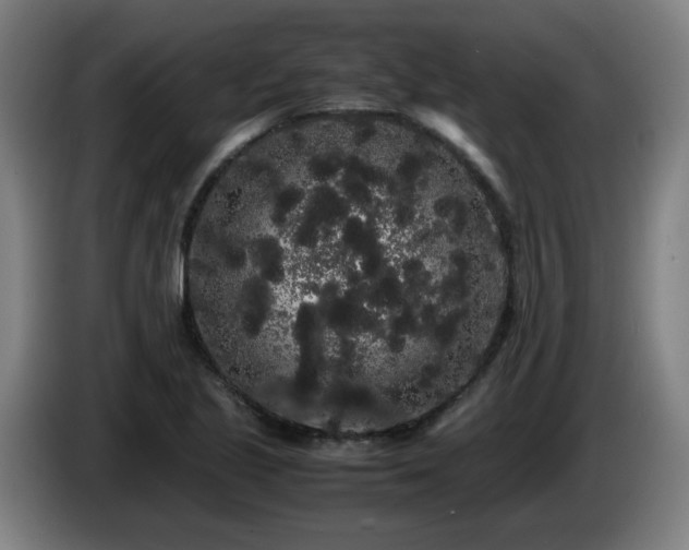 X0000086091221200703301144