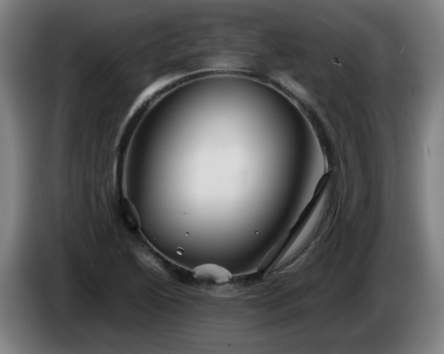 X0000086091222200703301144