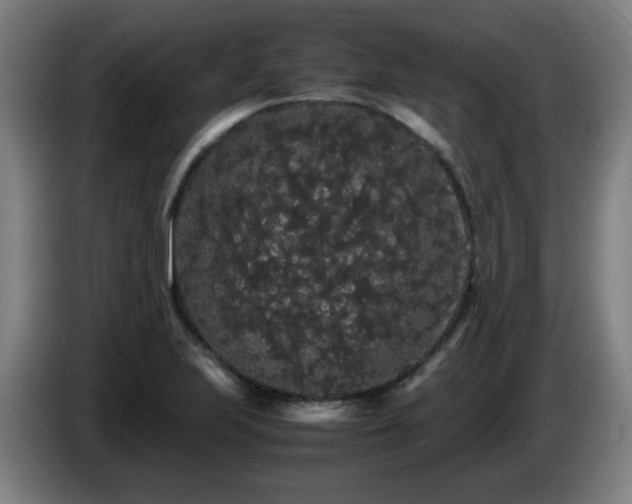 X0000086091223200703301144