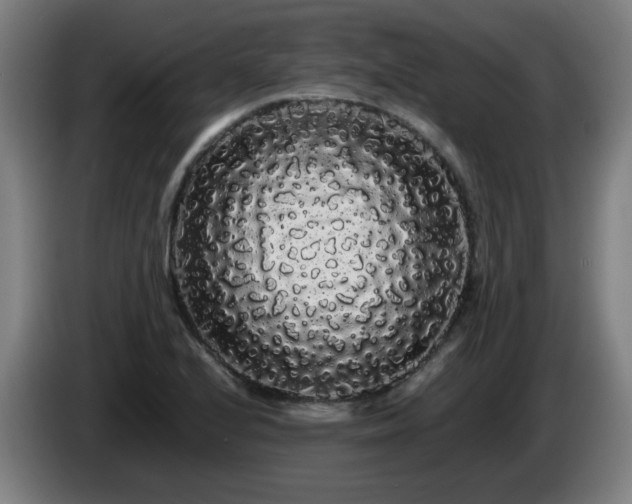 X0000086091224200703301144