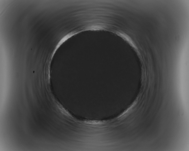 X0000086091226200703301144