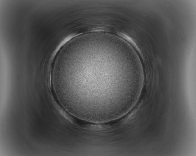 X0000086091227200703301144