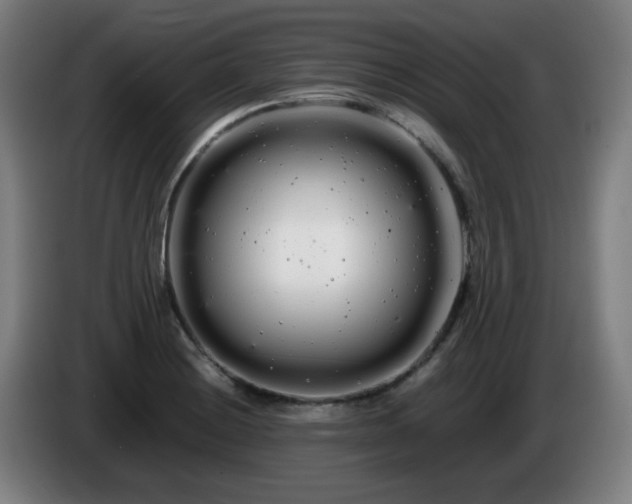 X0000086091228200703301144