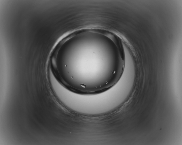 X0000086091230200703301144