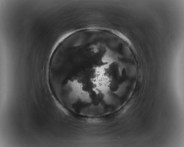 X0000086091231200703301144