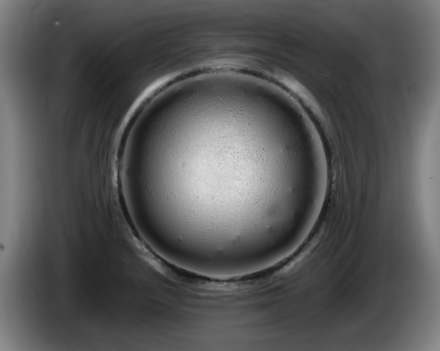 X0000086091232200703301144