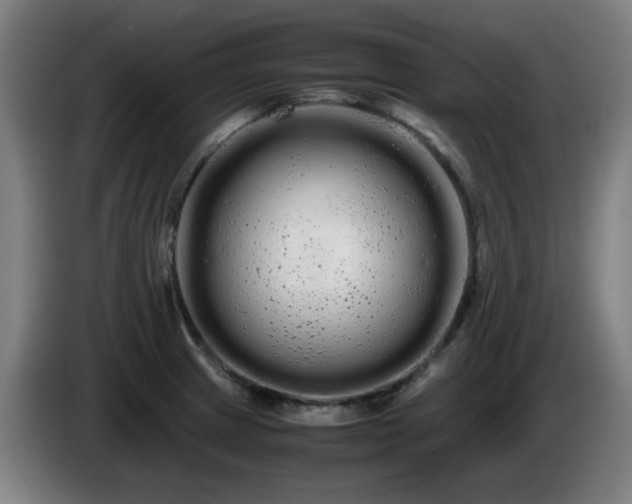 X0000086091233200703301144