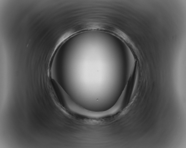 X0000086091234200703301144