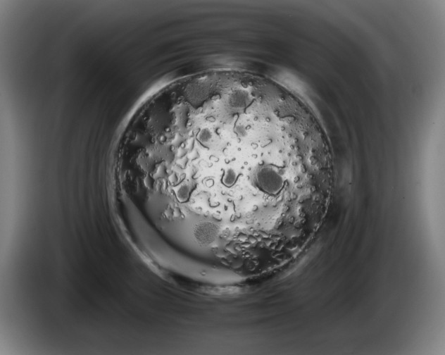 X0000086091235200703301144