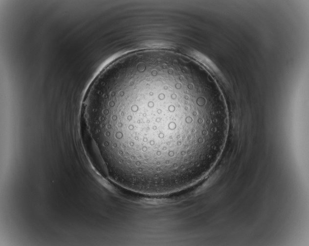 X0000086091236200703301144