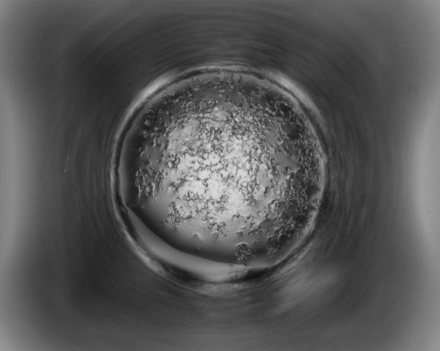 X0000086091237200703301144