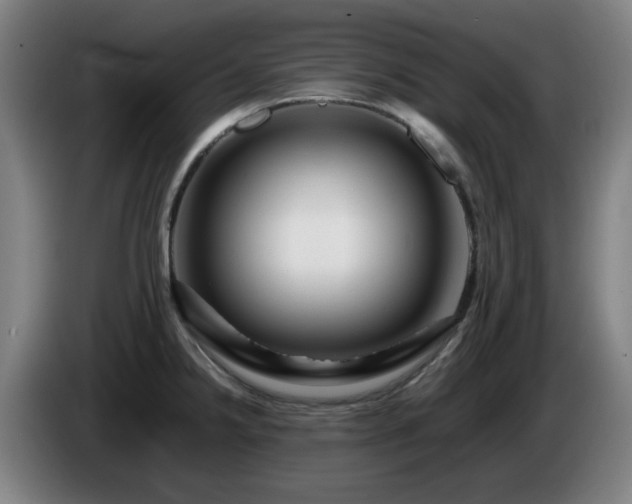 X0000086091238200703301144