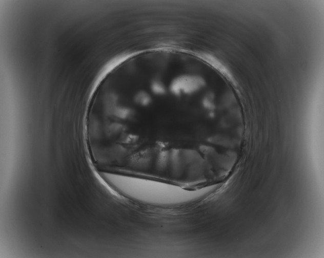 X0000086091239200703301144