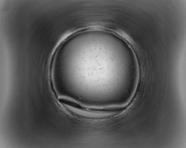 X0000086091240200703301144