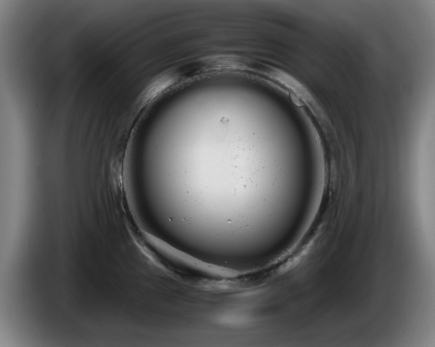 X0000086091241200703301144