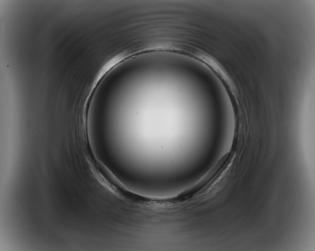 X0000086091242200703301144