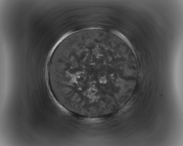 X0000086091243200703301144