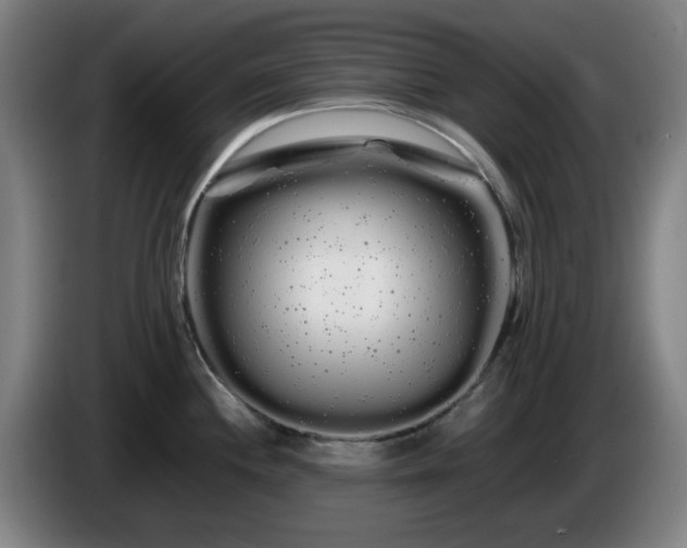 X0000086091244200703301144