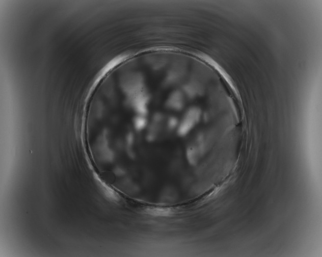 X0000086091245200703301144