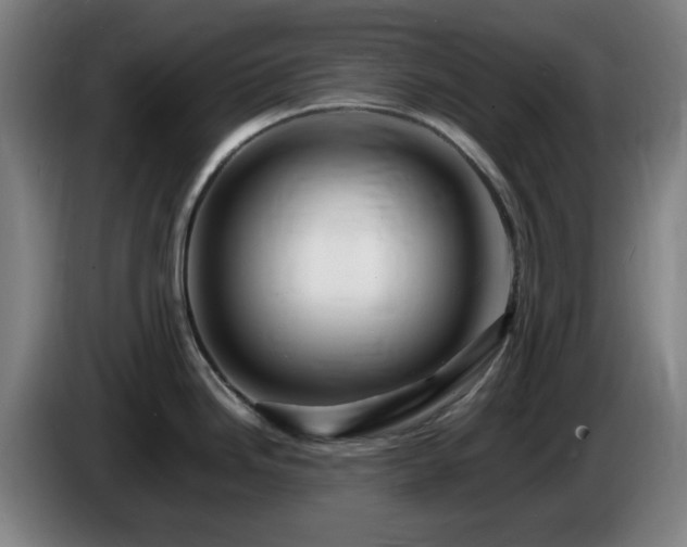 X0000086091246200703301144