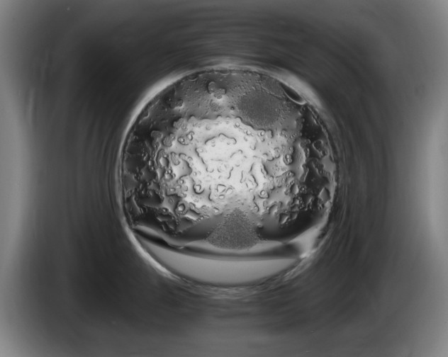 X0000086091247200703301144