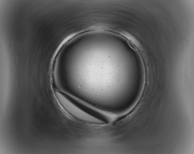 X0000086091248200703301144