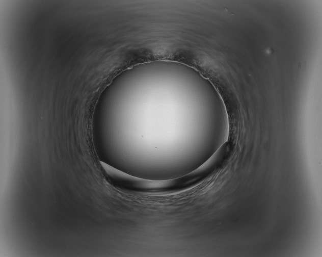 X0000086091249200703301143