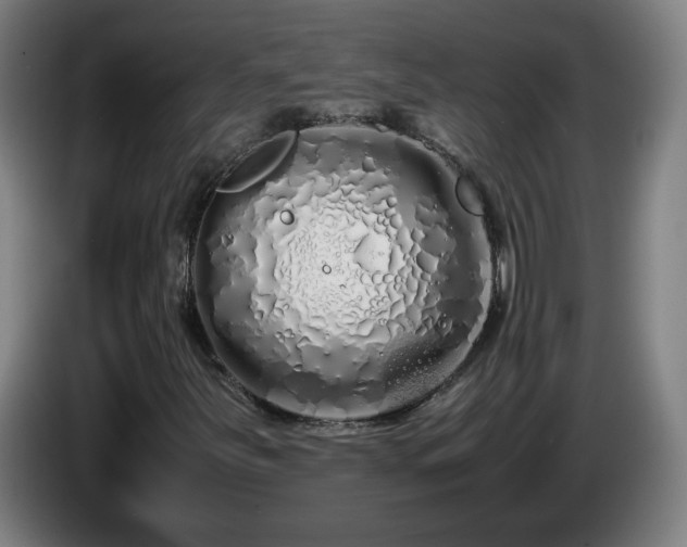 X0000086091251200703301143