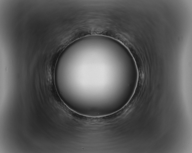 X0000086091252200703301143