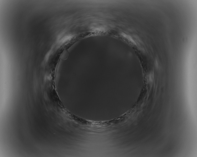 X0000086091254200703301143