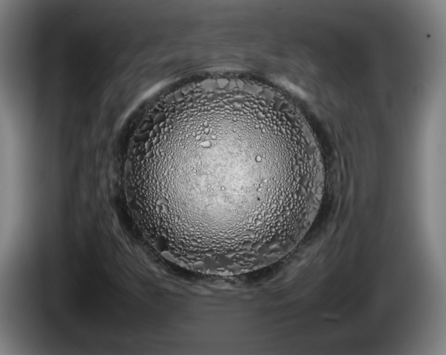 X0000086091255200703301143