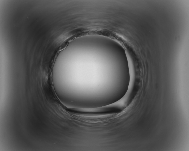 X0000086091257200703301143