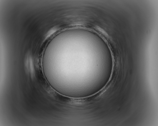 X0000086091258200703301143