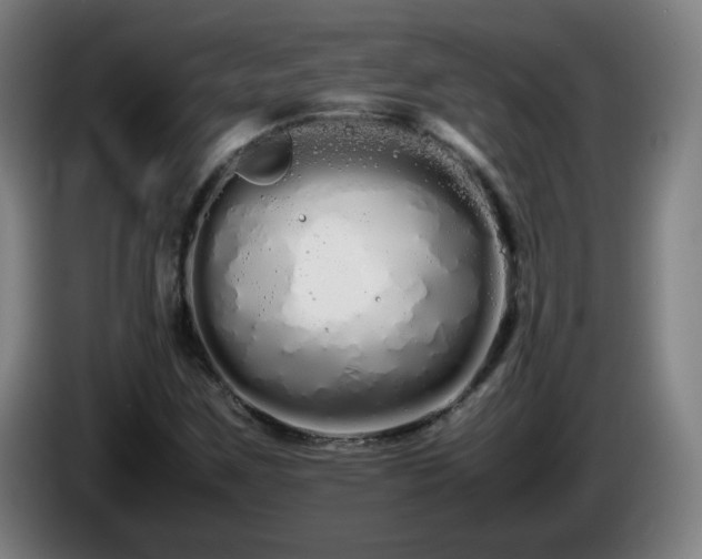 X0000086091259200703301143