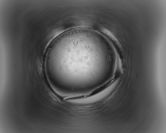 X0000086091260200703301143