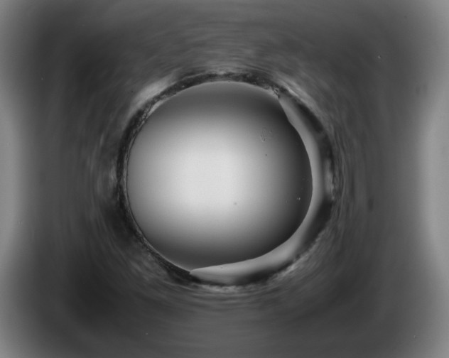 X0000086091261200703301143