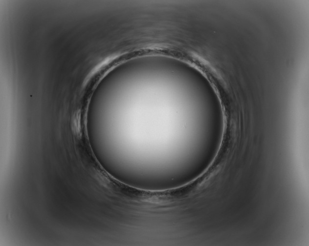 X0000086091262200703301143