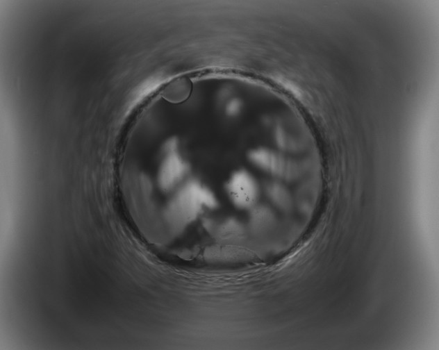 X0000086091263200703301143