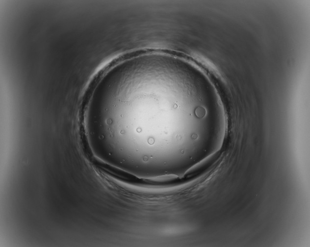 X0000086091264200703301143