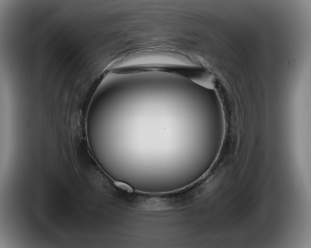 X0000086091265200703301143