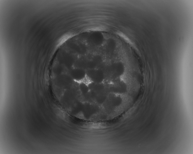 X0000086091266200703301143