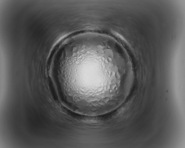 X0000086091267200703301143